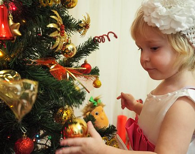 Budete mít letos na Vánoce živý stromek?